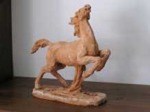 Cavallo